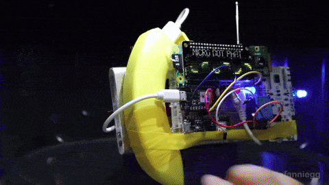 A banana with a computer attached